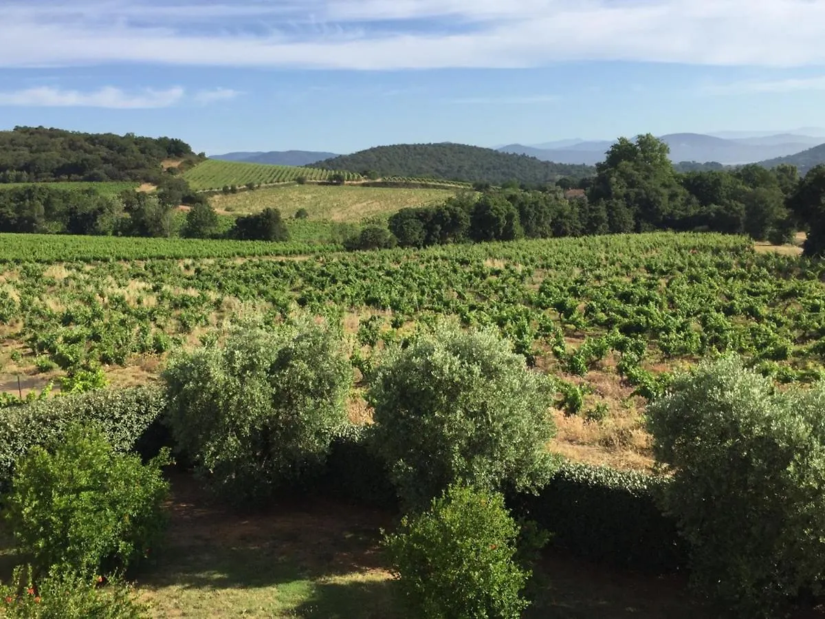 T3 Vignes & Terrasse 25 M2 Au Calme - Vue Verdoyante - A 7 Min De La Plage - Parking Gratuit - La Croix-Valmer Apartmán
